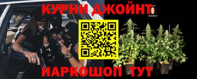 мяу мяу мука Бугуруслан