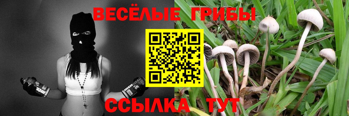 купить закладку  Вход с VPN  Омск  Псилоцибиновые грибы GOLDEN TEACHER 